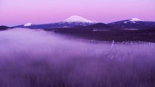 雪峰，森林，雾，雪山