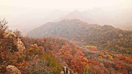 北京秋天司马台长城群山红叶大气宣传片