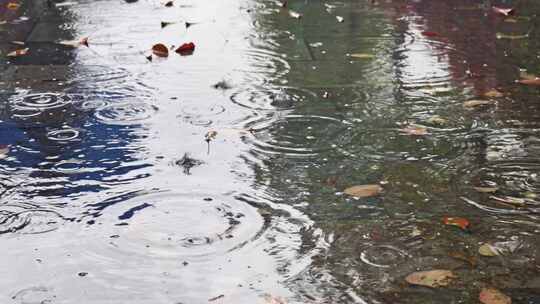 下雨雨滴视频素材模板下载