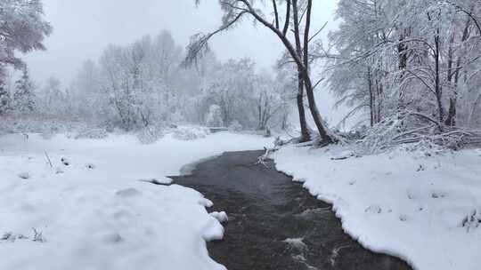 东北冬天长白山寒冷河流不冻河雾凇雪景