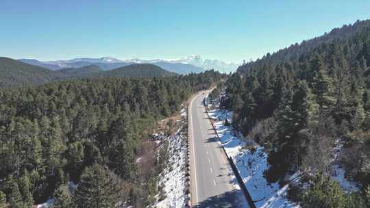 香格里拉森林公路国道