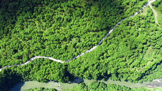 俯瞰绿色森林 公路 江河峡谷视频素材模板下载