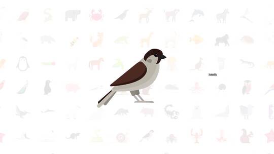 动感时尚鸟类动物图标动画片场AE模板
