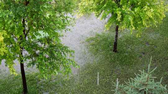 窗前细长的雨丝落在草地上视频素材模板下载