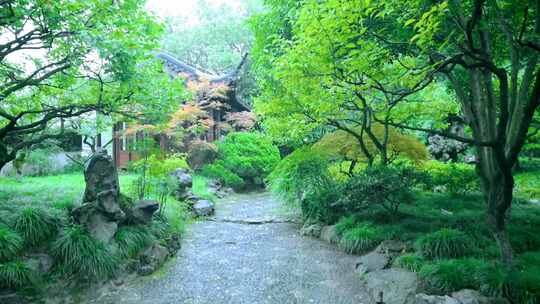 杭州西湖郭庄园林江南烟雨