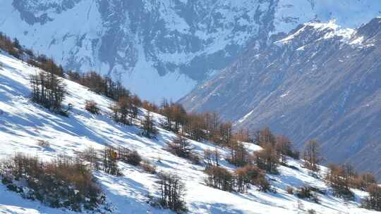 实拍登雪山画面