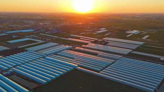 航拍蔬菜大棚农业蔬菜种植美丽乡村乡村振兴