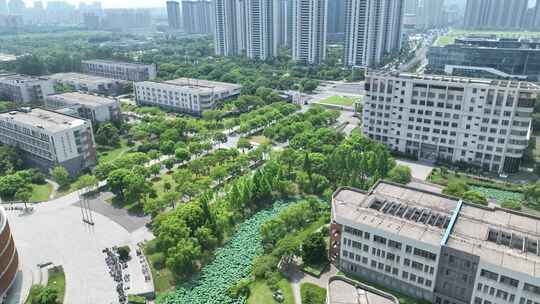 江苏科技大学苏州理工学院（张家港）航拍