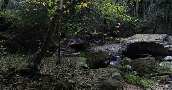 宁静山涧溪流 原生态景观 浙东小九寨