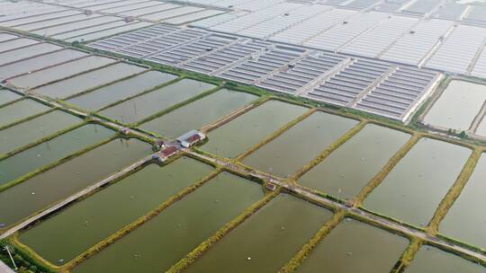 中国大型鱼类虾类水产养殖场