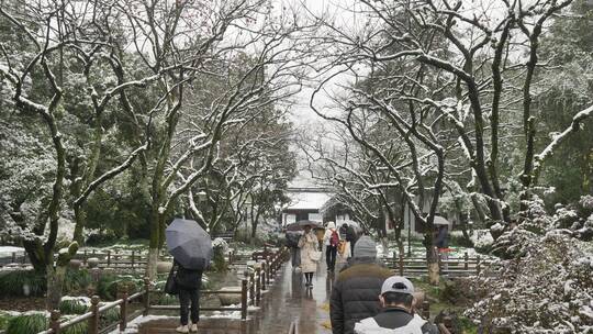 杭州冬天雪景