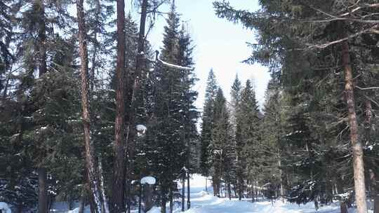 航拍新疆冬季喀纳斯神仙湾晨雾雪山森林雪景