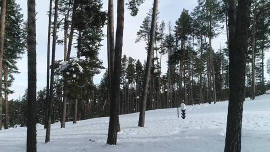 在森林小路上用滑雪板滑雪