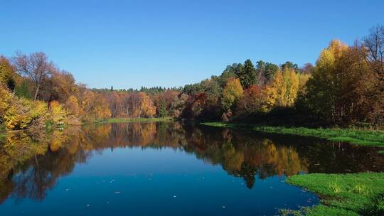 湖面上五彩缤纷的秋树林倒影