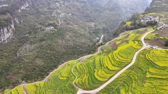 湖北恩施5A景区大峡谷绝壁花海航拍