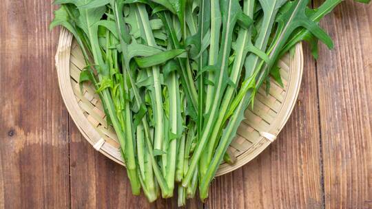 草本植物蒲公英叶子野菜