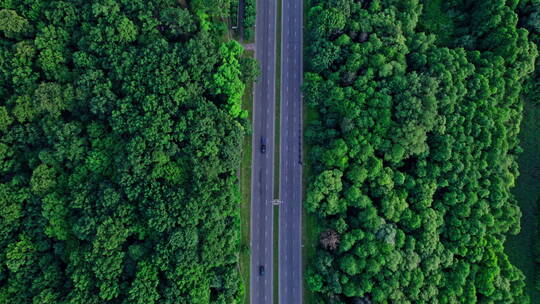 穿越国家的公路乡村马路农村绿地