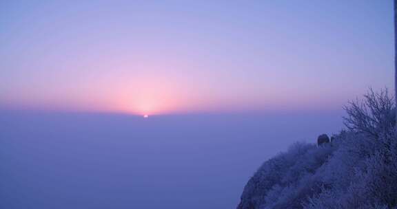 峨眉山 四川 雾凇 冬季 雪景 云海