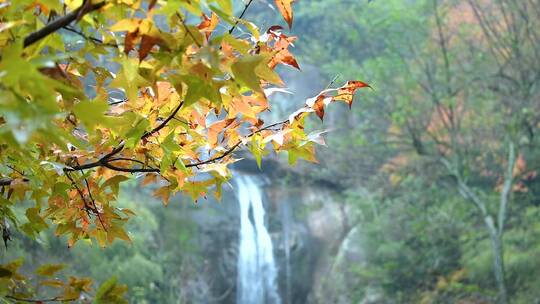 天台山石梁飞瀑瀑布水流视频合集