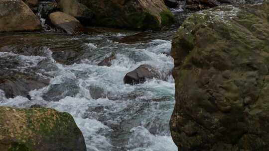 水流水花流水流动河道