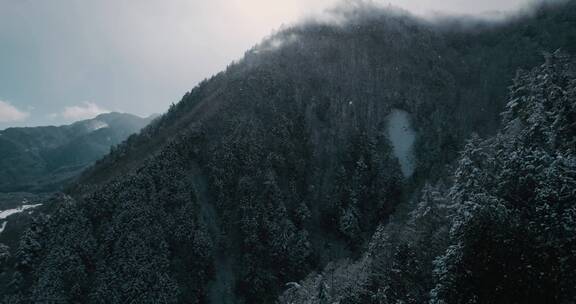 航拍雪中的山林