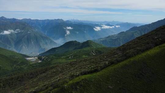 九顶山 草甸 自认大山 杜鹃林 高山杜鹃