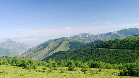 五台山高山草甸