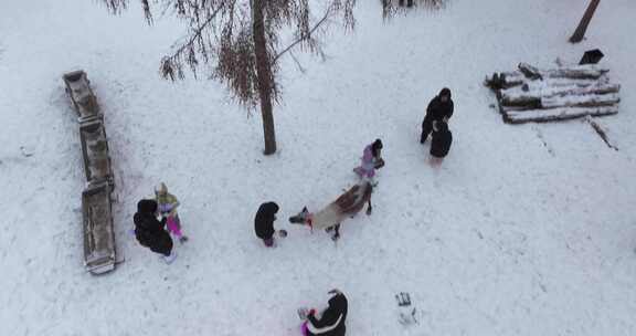 雪地中人们与动物互动的场景