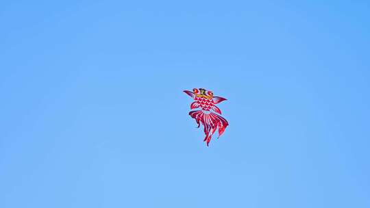 蓝天下飞翔的风筝视频素材模板下载