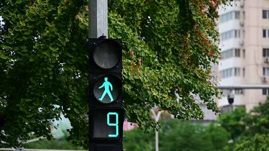 交通指示红绿灯