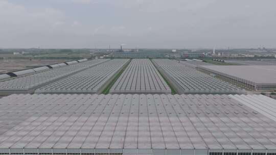 俯瞰大型蔬菜大棚种植基地