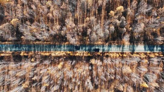 呼伦贝尔大兴安岭根白公路秋季航拍4K风景