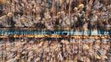 呼伦贝尔大兴安岭根白公路秋季航拍4K风景高清在线视频素材下载
