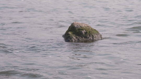 湖面的石头 【4k-60P】