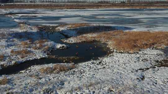 航拍雪景 唯美冬日空镜 立冬 冬至节气