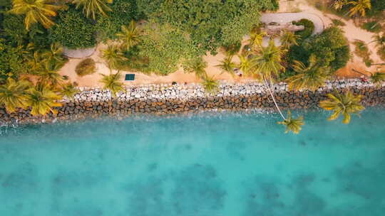 新加坡巴拉望群岛/圣托萨岛海滩上，湛蓝的水波撞击着岩石