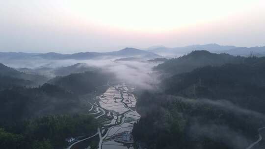 大山云雾农田铁塔群山日出