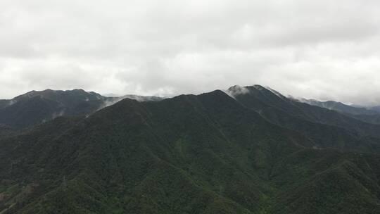 杭州宝寿山