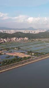 广东虎门养殖基地航拍