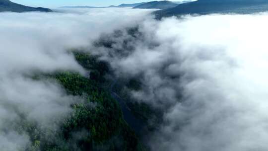 鸟瞰绿色森林河流青山绿水穿越云雾