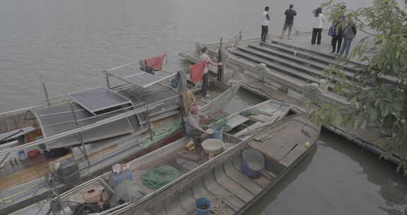 惠州东江渔船卖鱼