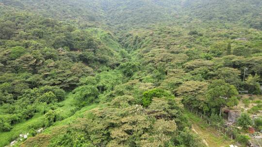 明福观 南汉时期 五观之一 道教庙宇 澜石村