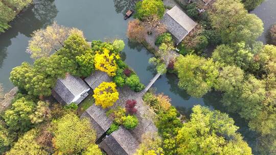 杭州秋天 西溪湿地 手摇船 湿地博物馆