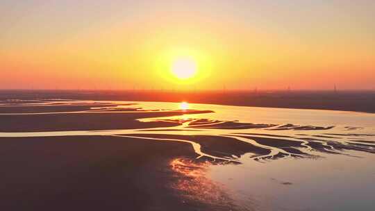 江西鄱阳湖湿地生命之树景观日落