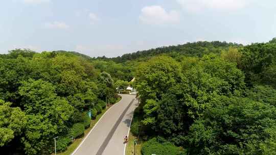 林间小路航拍全景，绿意盎然景色宜人