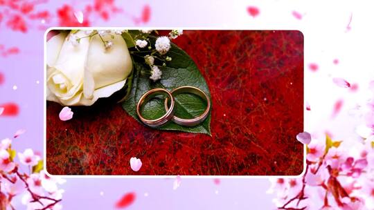 清新花朵婚庆婚礼结婚相册开场视频AE模板