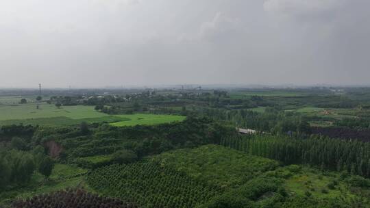 鸟瞰田园诗般的绿色夏季农田农作物牧场视频素材模板下载