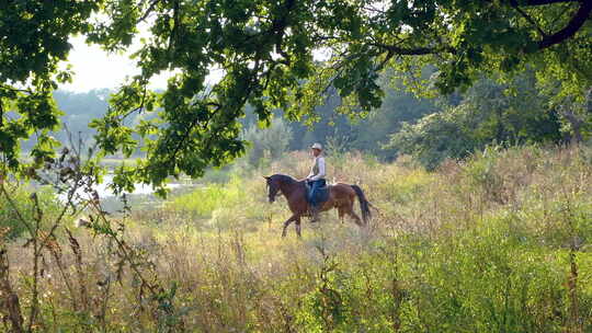 森林草坪上骑马的男人