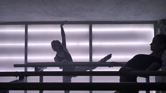 两个芭蕾舞演员在栏杆上伸展身体