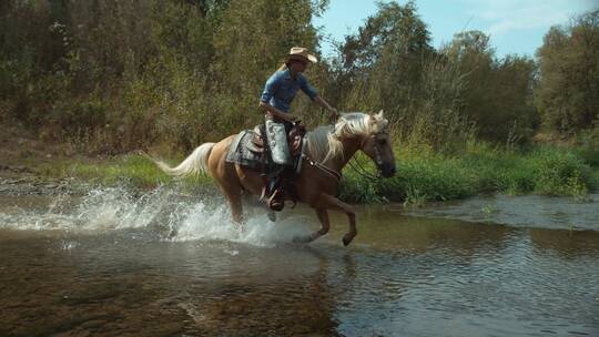 在林地里骑马过河的特写镜头视频素材模板下载